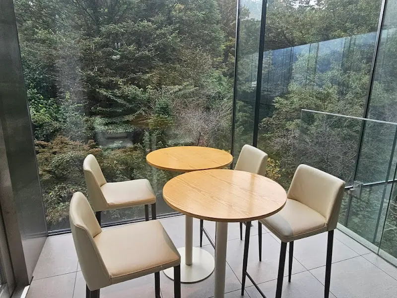 창밖의 나무를 바라보며 차를 마실 수 있는 테이블
