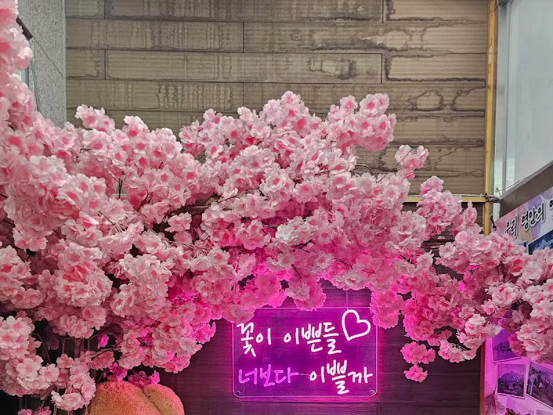 식당 입구 벚꽃 장식