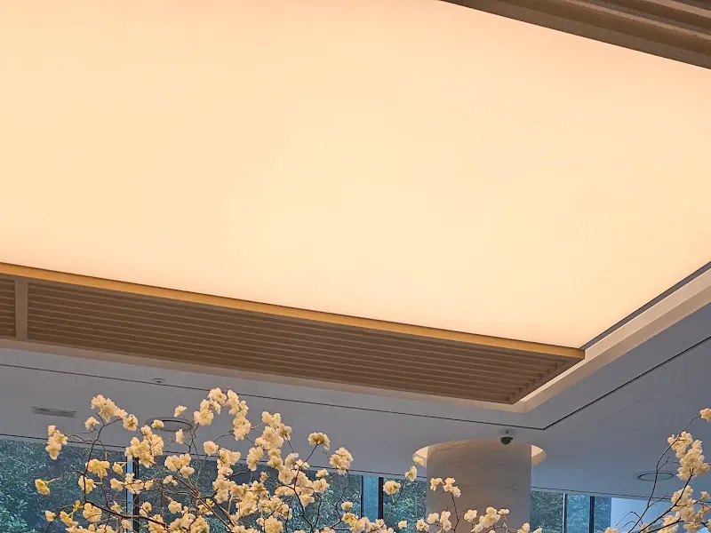 천장에 달린 아름다운 조명