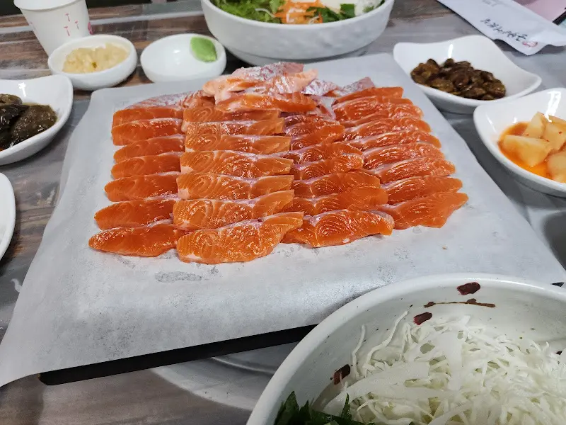 싱싱한 송어회 클로즈업