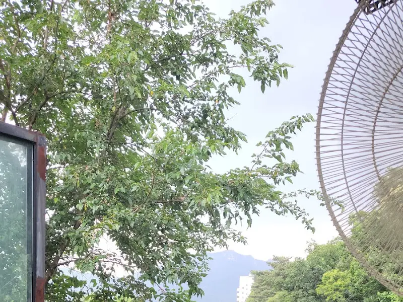 창밖으로 보이는 푸르른 나무와 하늘