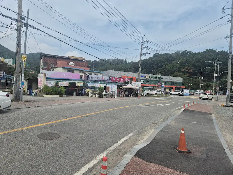 황금원 주변 풍경