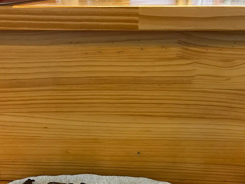 정갈하게 담긴 요리