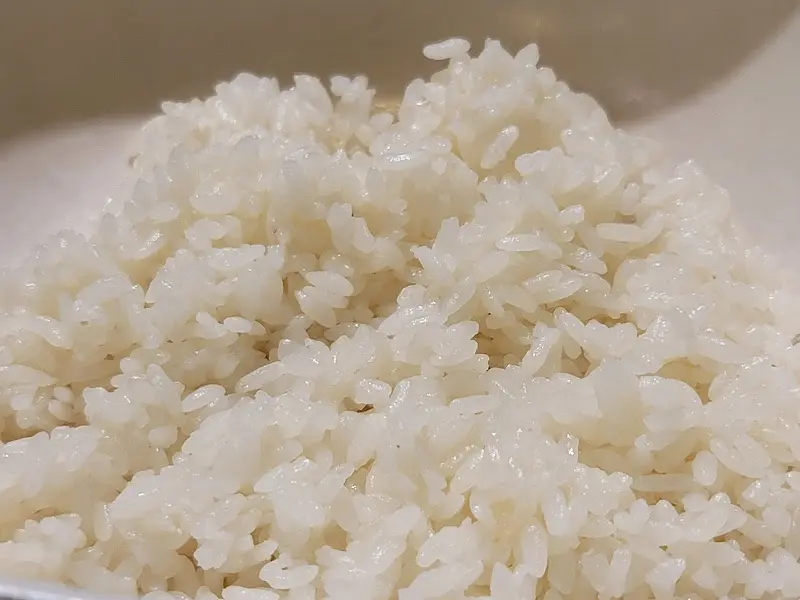 갓 지은 윤기 흐르는 흰 쌀밥