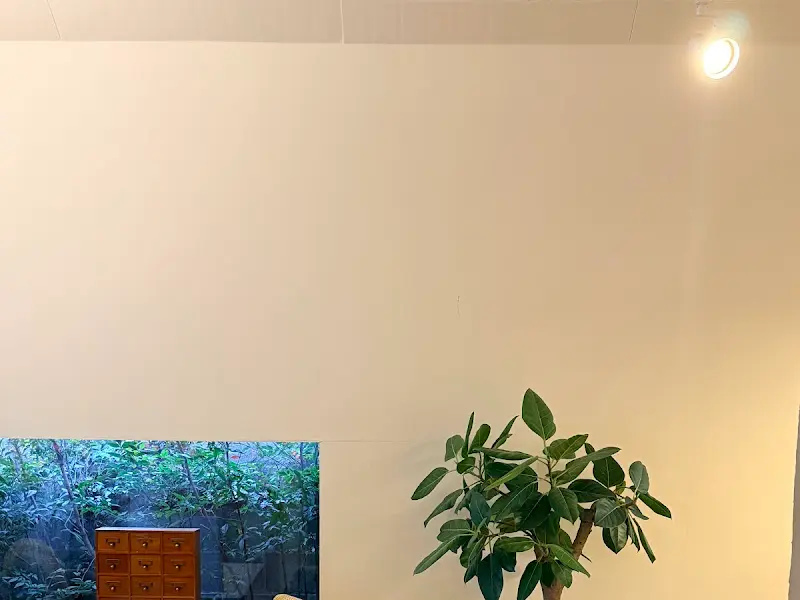 카페 내부의 식물 장식