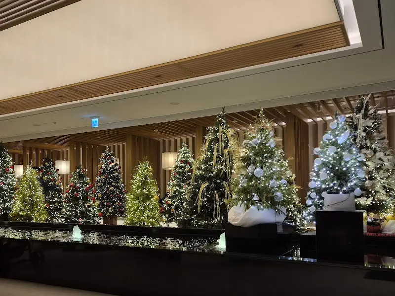 화려하게 장식된 크리스마스 트리들