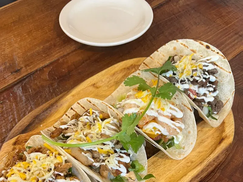 알록달록 예쁜 색감의 타코 샘플러