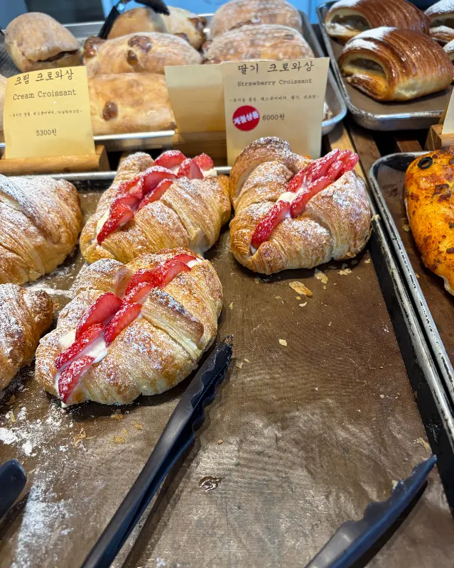 다양한 빵 종류