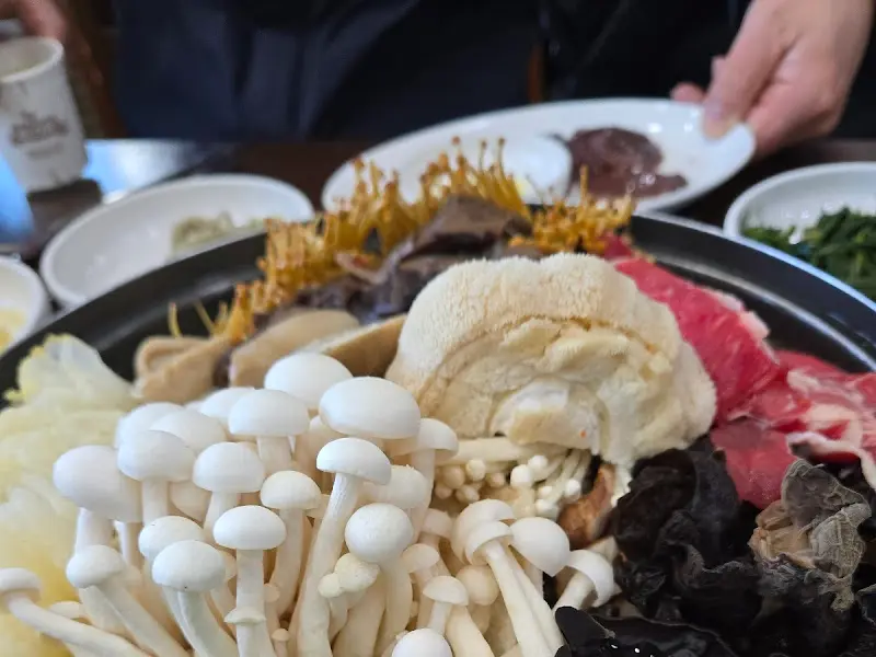 다양한 버섯과 소고기