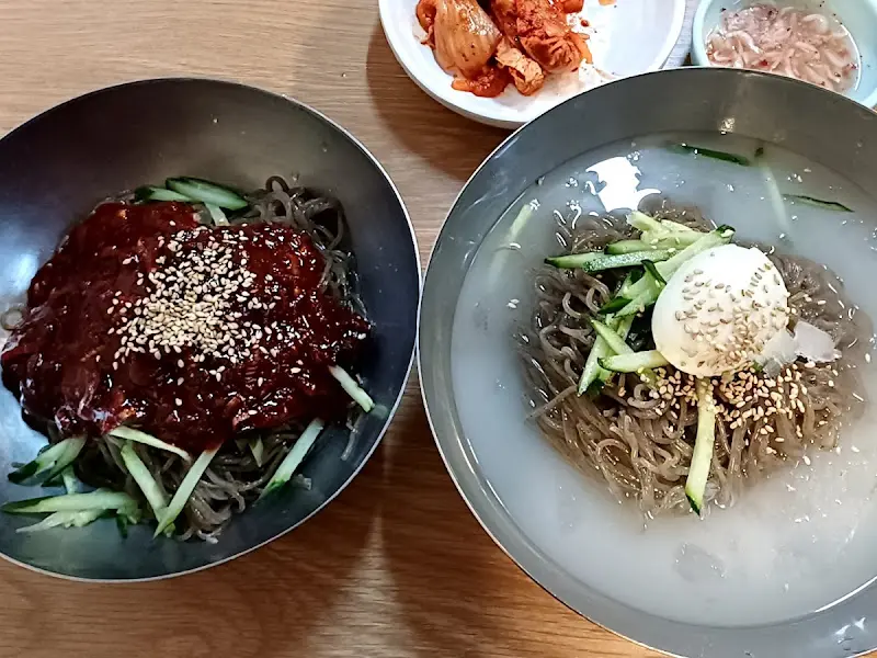 물막국수와 비빔막국수