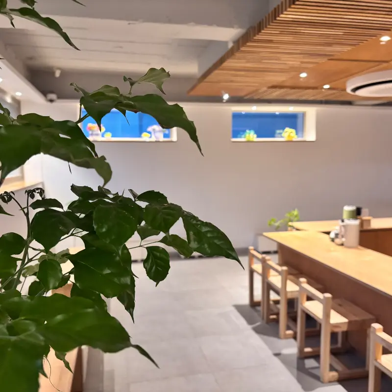 톤키치 내부 인테리어