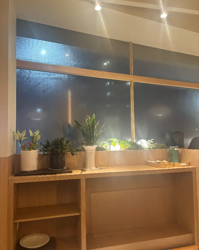 창가에 놓인 아기자기한 화분들