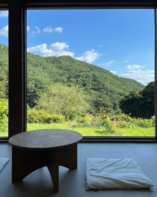 통창으로 보이는 아름다운 숲 뷰