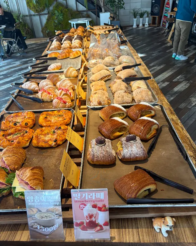 다양한 빵 종류