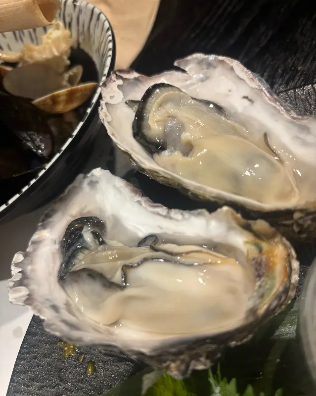 신선한 굴의 모습