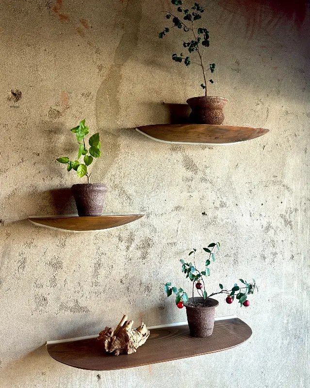 벽에 걸린 화분들