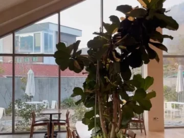 기장 바다 품은 정원, 마가진에서 만나는 특별한 베이커리 풍미, 부산 맛집 여정