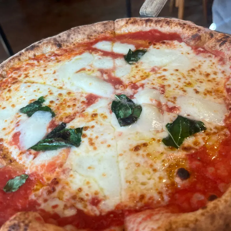 도치피자의 맛있는 메뉴들