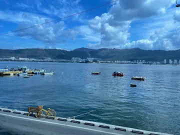 진해 속천항의 숨겨진 보석, 낭만적인 오션뷰 맛집에서 즐기는 특별한 미식 경험