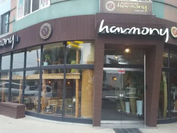 양양에서 만난 커피 향 가득한 힐링, 하모니: 향긋한 커피와 편안함이 있는 맛집