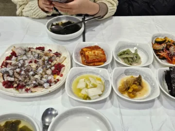 미식 연구원의 목포 미식 실험: 하당먹거리에서 발견한 낙지탕탕이 맛집의 과학