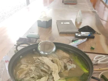 맑은 계곡물 흐르는 인제 맛집, OO식당에서 즐기는 여름날의 백숙 만찬