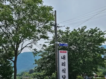 산청 내리 현지인이 추천하는 숨은 보석, 내리식당에서 맛보는 푸근한 한 끼 맛집
