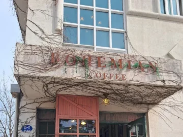 강릉 커피 맛집의 정수, 박이추 보헤미안에서 펼쳐지는 미각의 실험