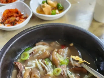 몸보신 되는 특별한 맛! 고령 인삼도토리수제비 맛집 “대원식당” 방문 후기