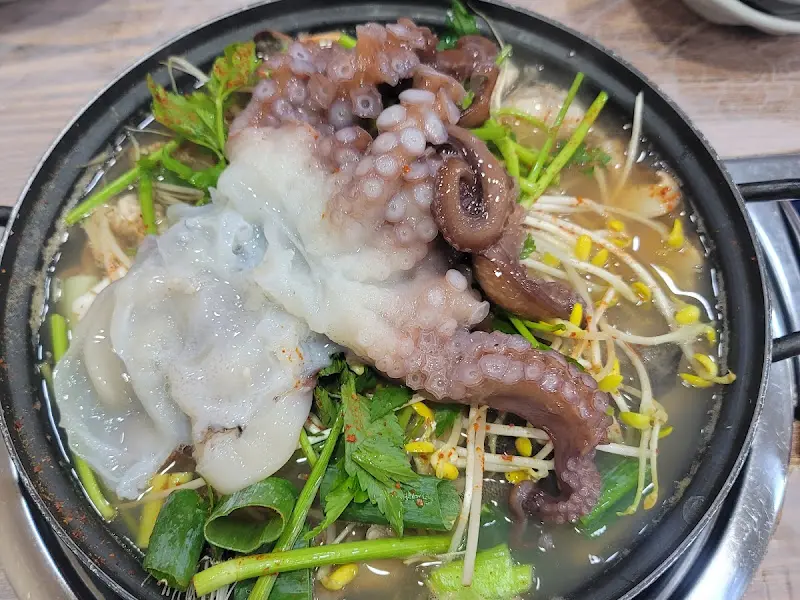 살아있는 문어가 퐁당