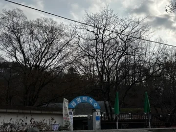 낙화암 그림자 아래, 부여 장원막국수에서 맛보는 세월의 맛