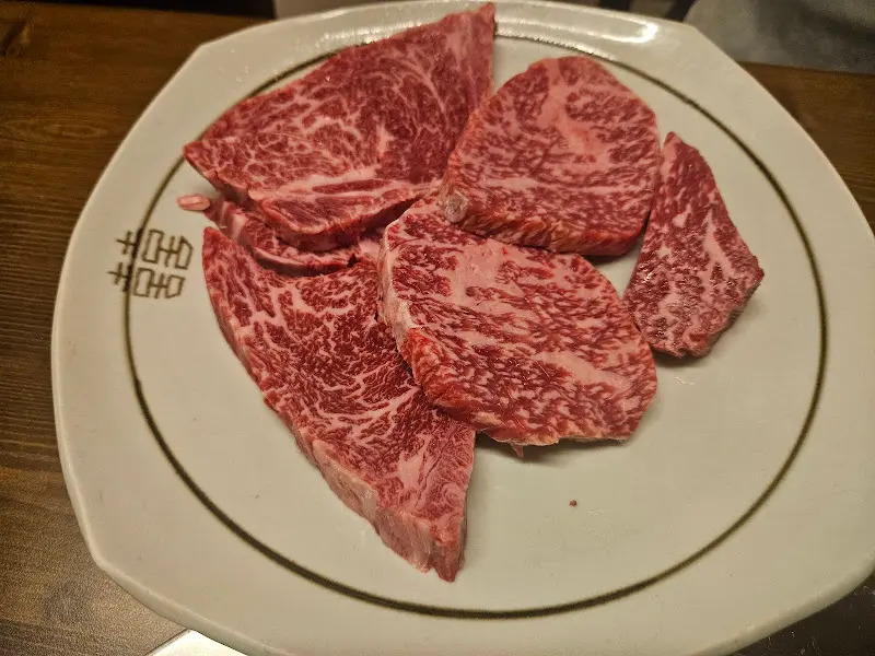 마블링이 예술인 한우 치마살