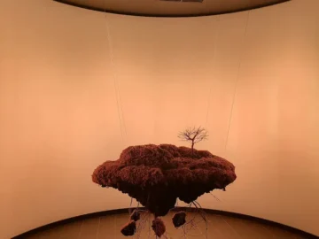 숨겨진 보석을 찾은 기분, 외진 곳에서 만난 강남 분위기 맛집