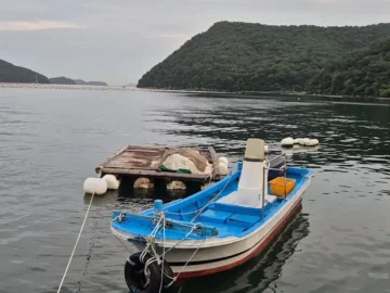 가포 앞바다를 품은 마산 지중해, 예술과 풍경이 어우러진 힐링 맛집