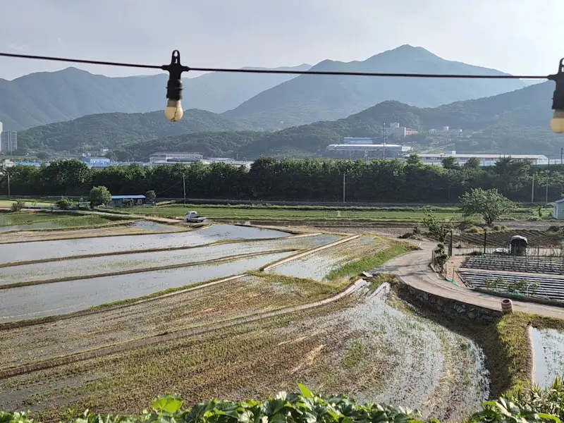 탁 트인 풍경이 보이는 울산 가랑잎새 외부 전경