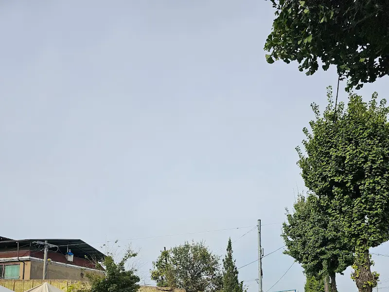 진성민속촌 주변 풍경