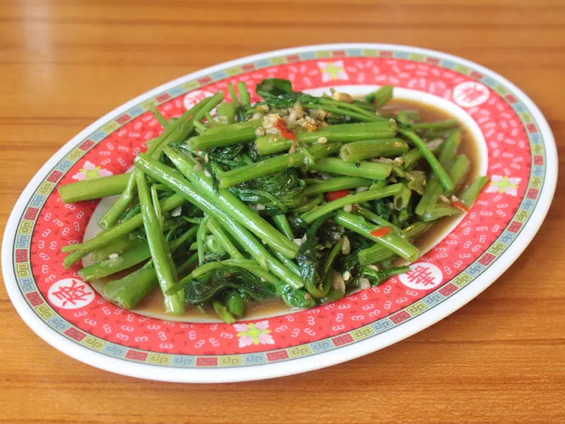 싱그러운 모닝글로리