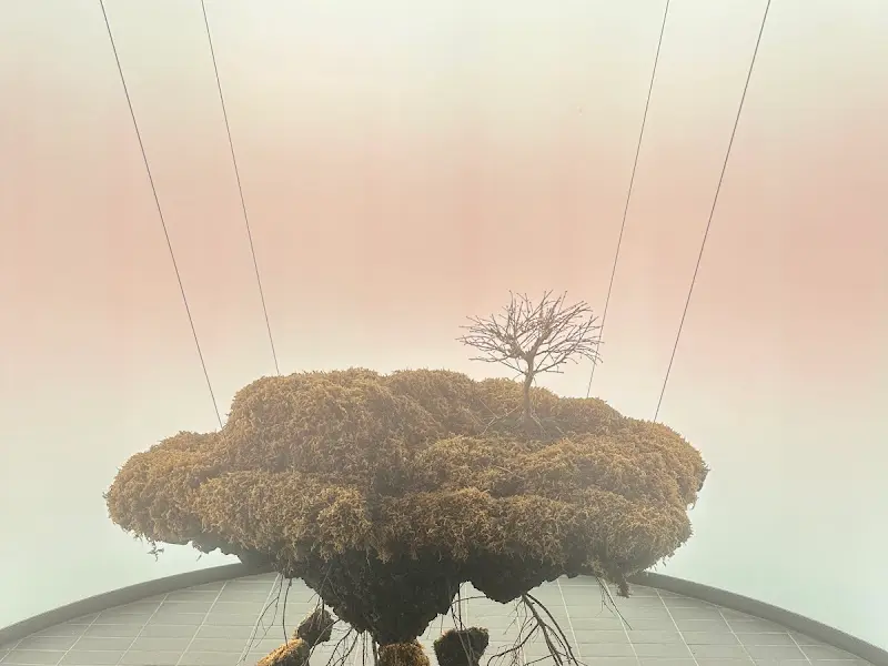 레스토랑 외부 모습