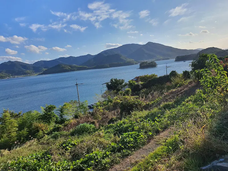 소향다원에서 바라본 아름다운 바다 풍경