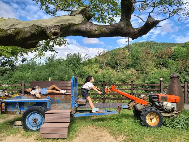 카페 정원에 마련된 다양한 포토존