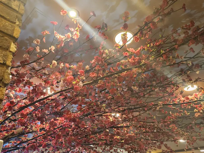 매화쌈밥 천장에 벚꽃 장식이 화려하게 되어 있다