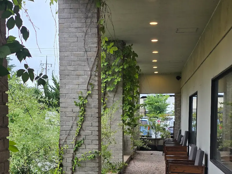 카페 건물 기둥을 타고 올라가는 담쟁이 넝쿨