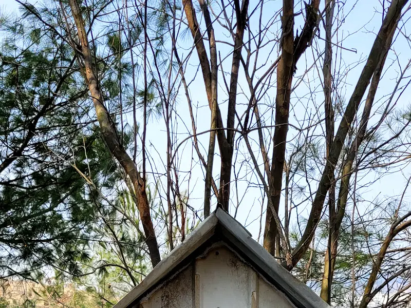 카페 외부 풍경