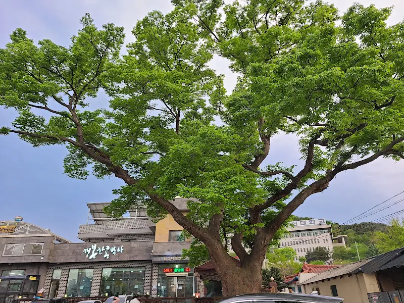 식당 전경 사진