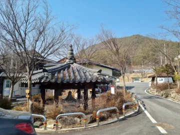 등산 후 맛보는 다덕약수 원조 약수닭불고기, 청송 맛집의 과학적 향연