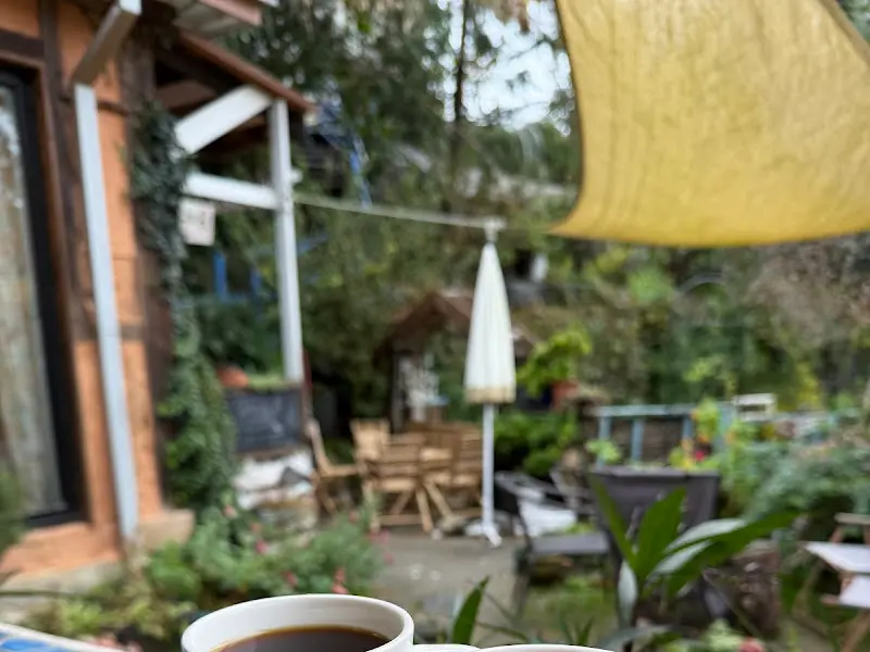 카페 정원의 모습