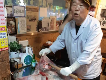 코끝 찡한 추억, 안양에서 만난 흑산도홍어의 특별한 맛집 기행