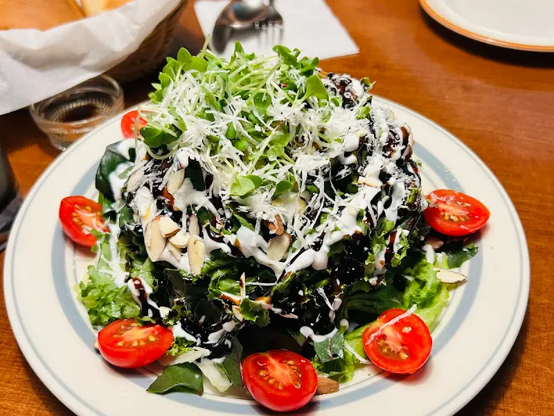 신선한 채소와 토마토, 드레싱이 조화로운 샐러드