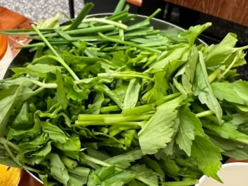 향긋한 미나리에 반하다! 삼각지에서 만나는 청도미나리식당, 혼밥도 가능한 숨은 맛집