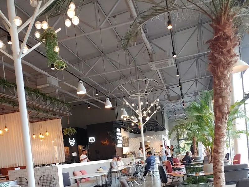 카페 천장의 독특한 조명